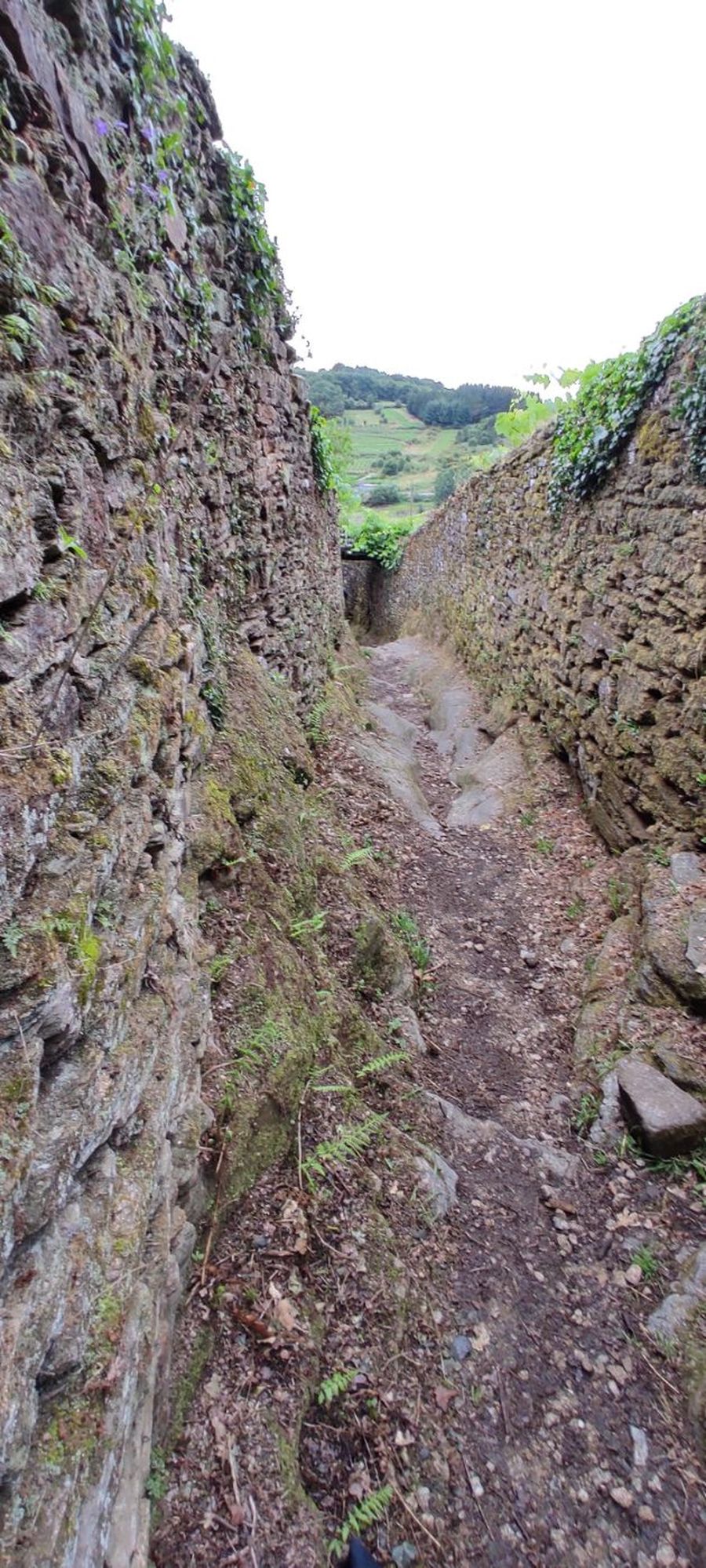 Descente sur Portomarin, Galice